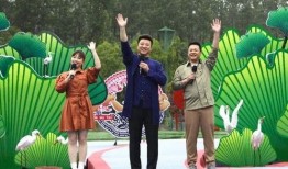 乐山酒店爆料视频最新2020,揭秘酒店行业背后真相